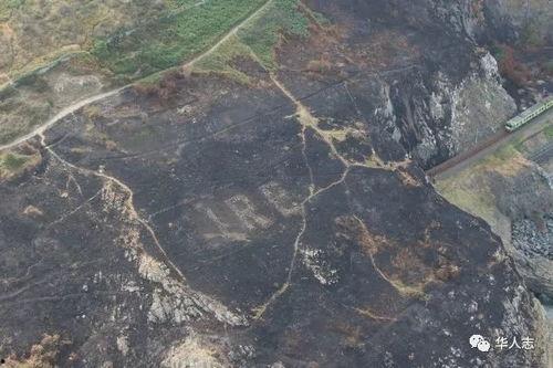 野火烧尽芳草时,野火烧尽芳草的涅槃之旅